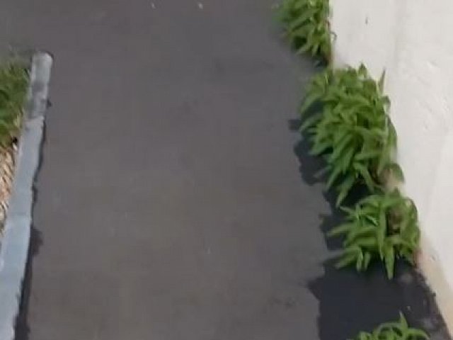 Видео отмостки через год ремонта